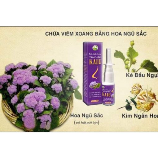 viêm mũi dị ứng